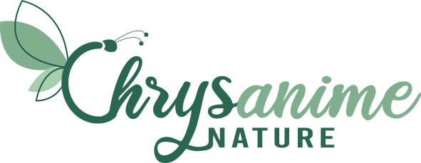 Chrysanime Nature - Laissez-vous surprendre par tout ce que la nature vous offre